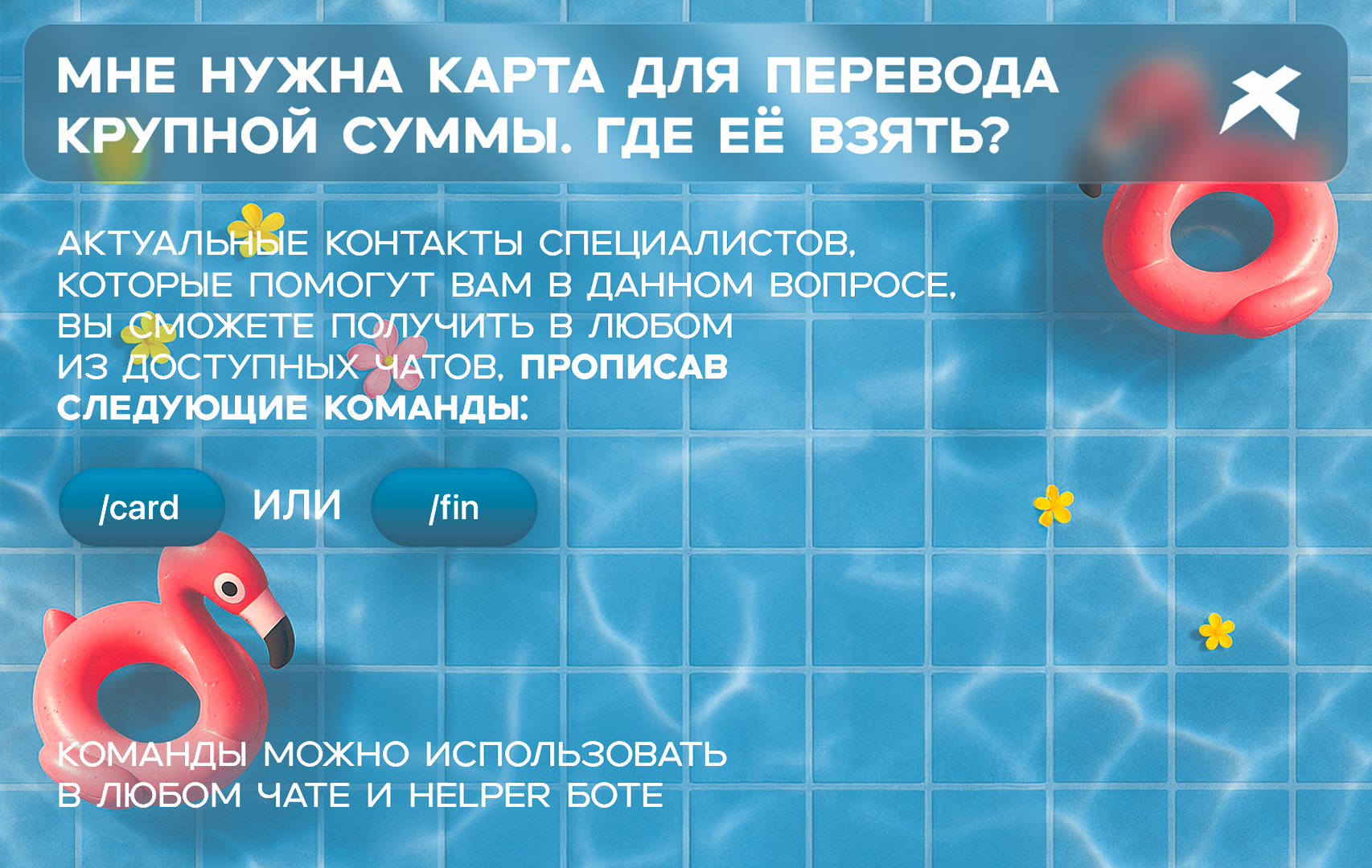 card_fin